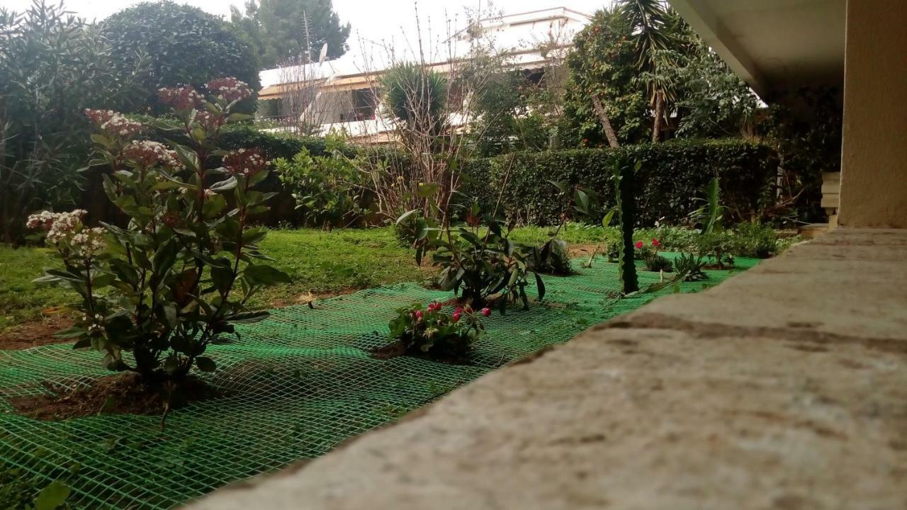 Garden Studio 55 S.M. Atena Exterior foto